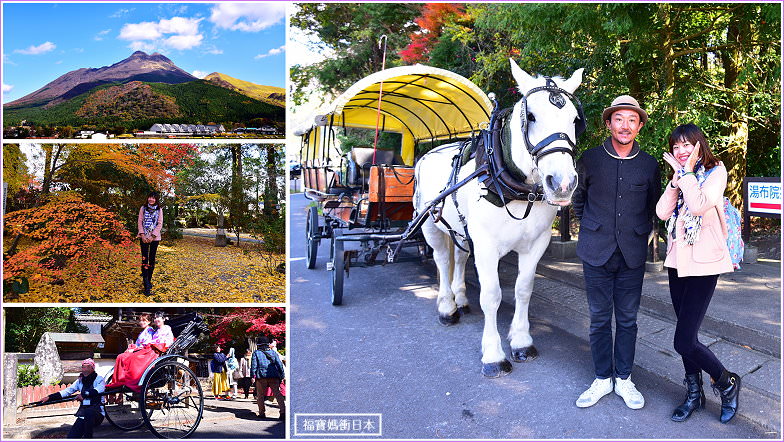 由布院觀光馬車(辻馬車)