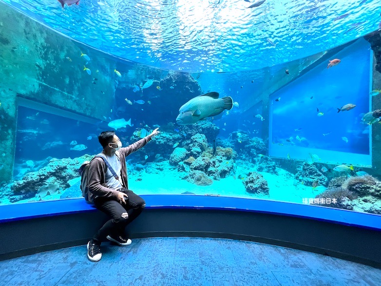 美麗海水族館