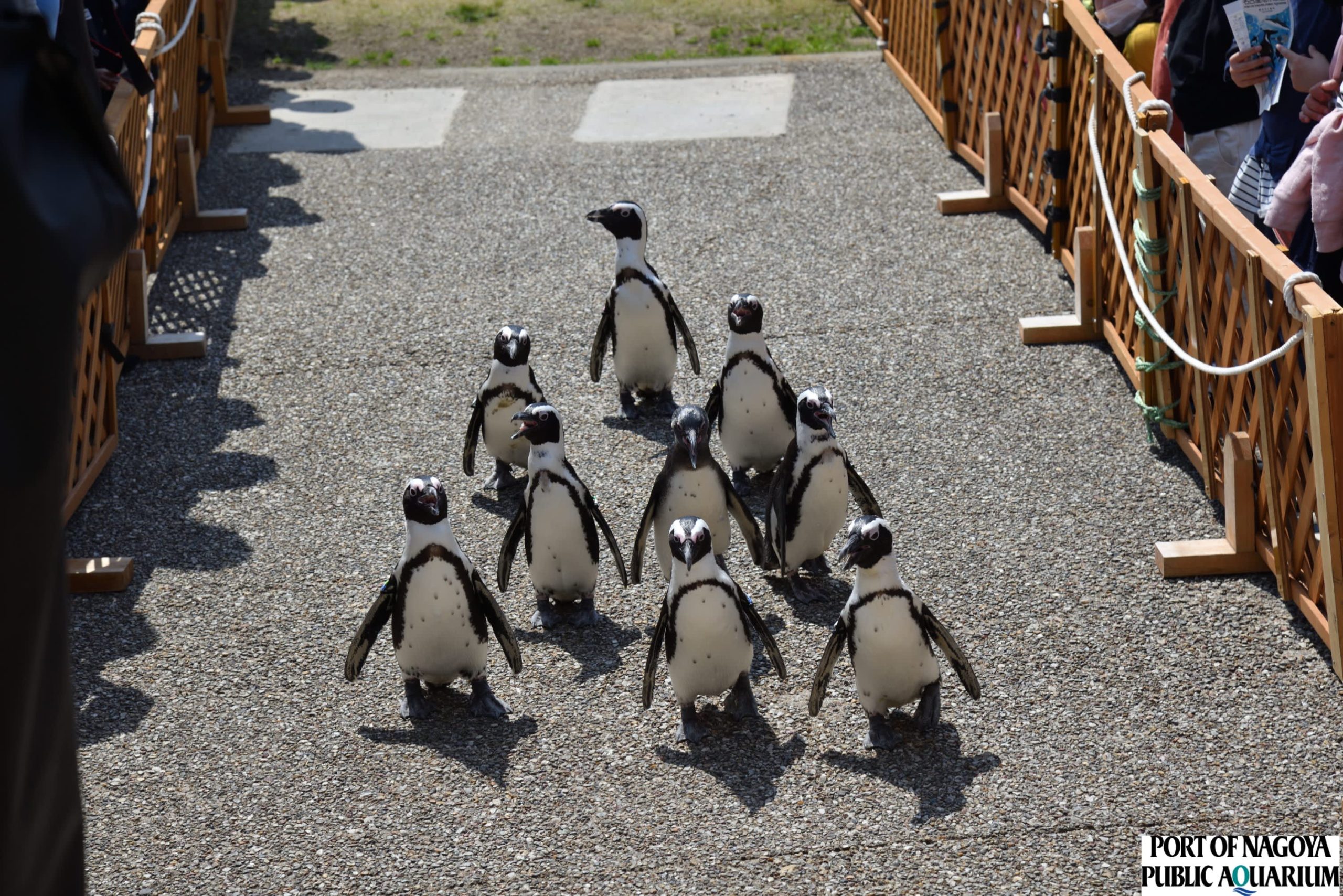 名古屋水族館