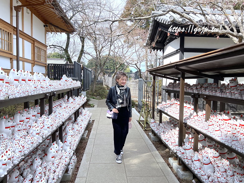 世田谷一日遊