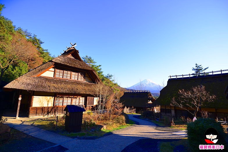 西湖療癒里根場