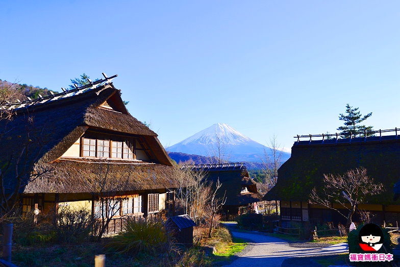 河口湖景點