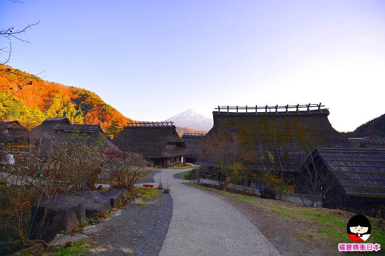 山梨景點