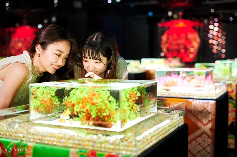 東京銀座藝術水族館