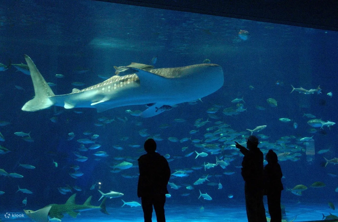 鹿兒島水族館