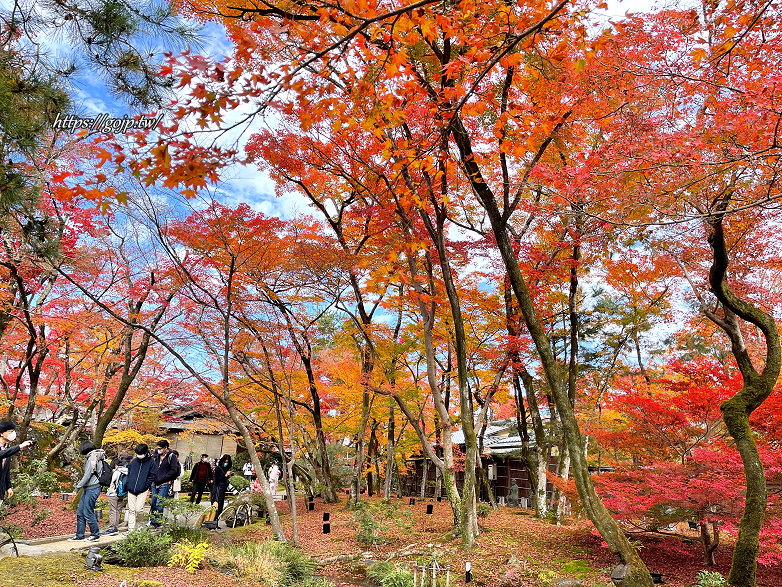 嵐山紅葉景點