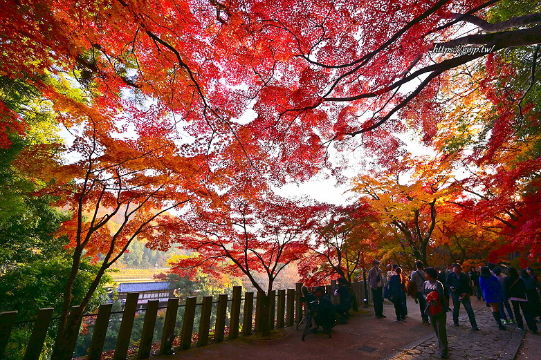 滋賀永源寺