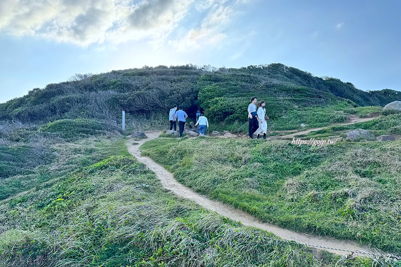 系島龍貓之森