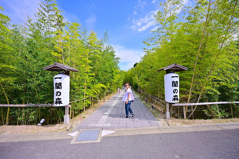 糸島景點