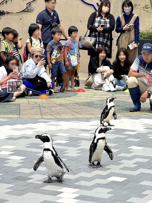 福岡水族館