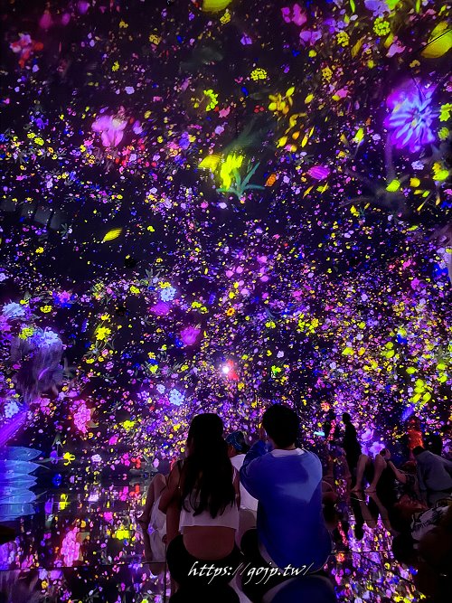 teamLab Planets TOKYO