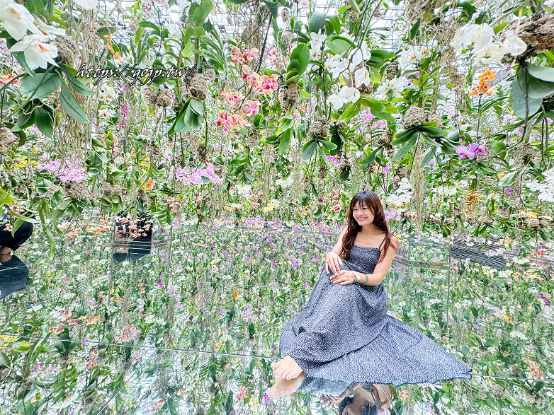 東京teamlab